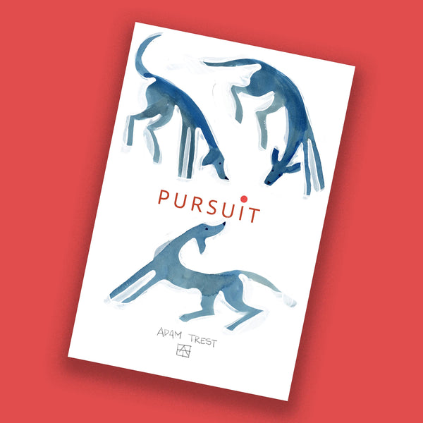 Pursuit