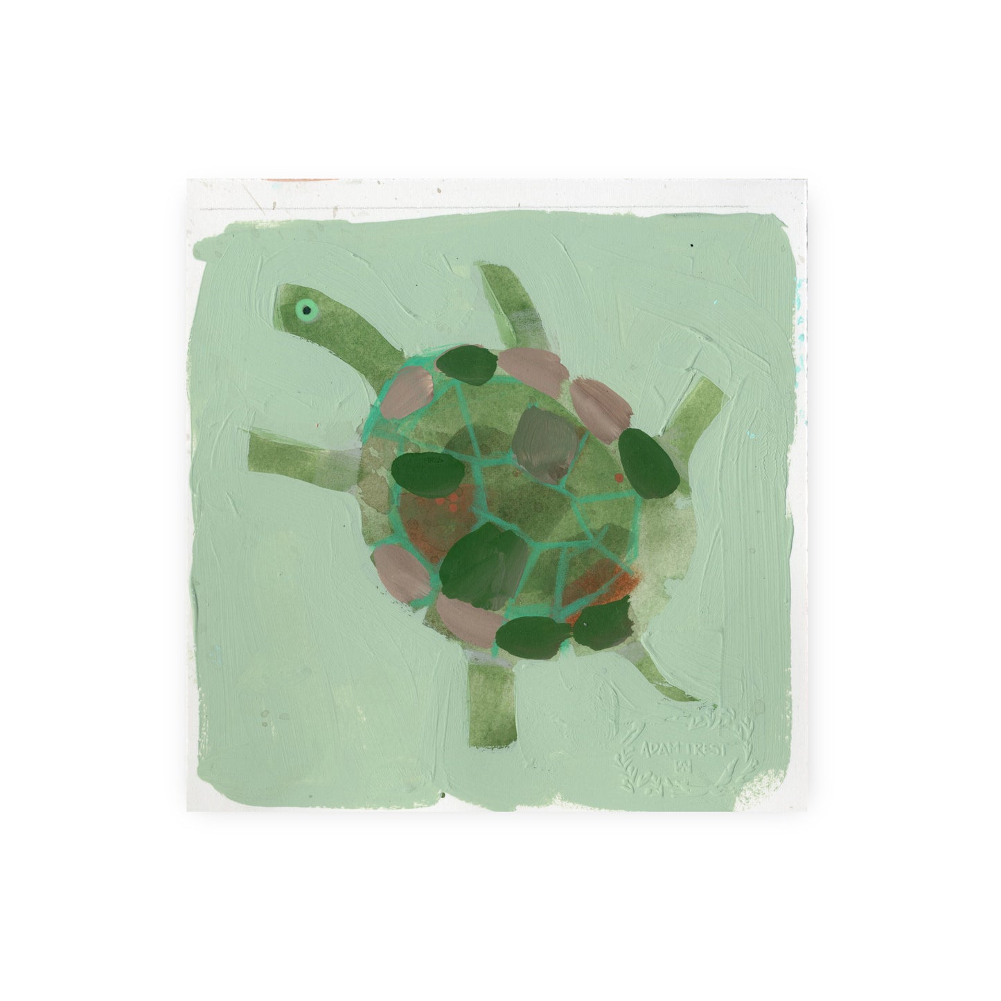 Cartwheel Turtle II Study 6x6