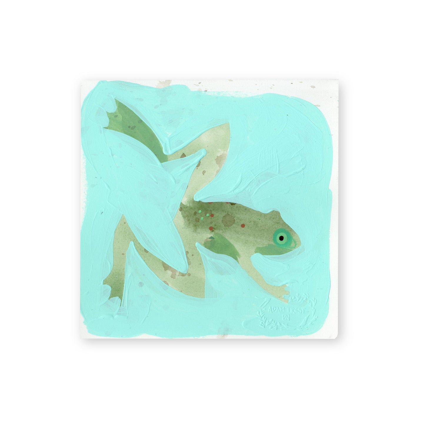 Frog II Study 6x6