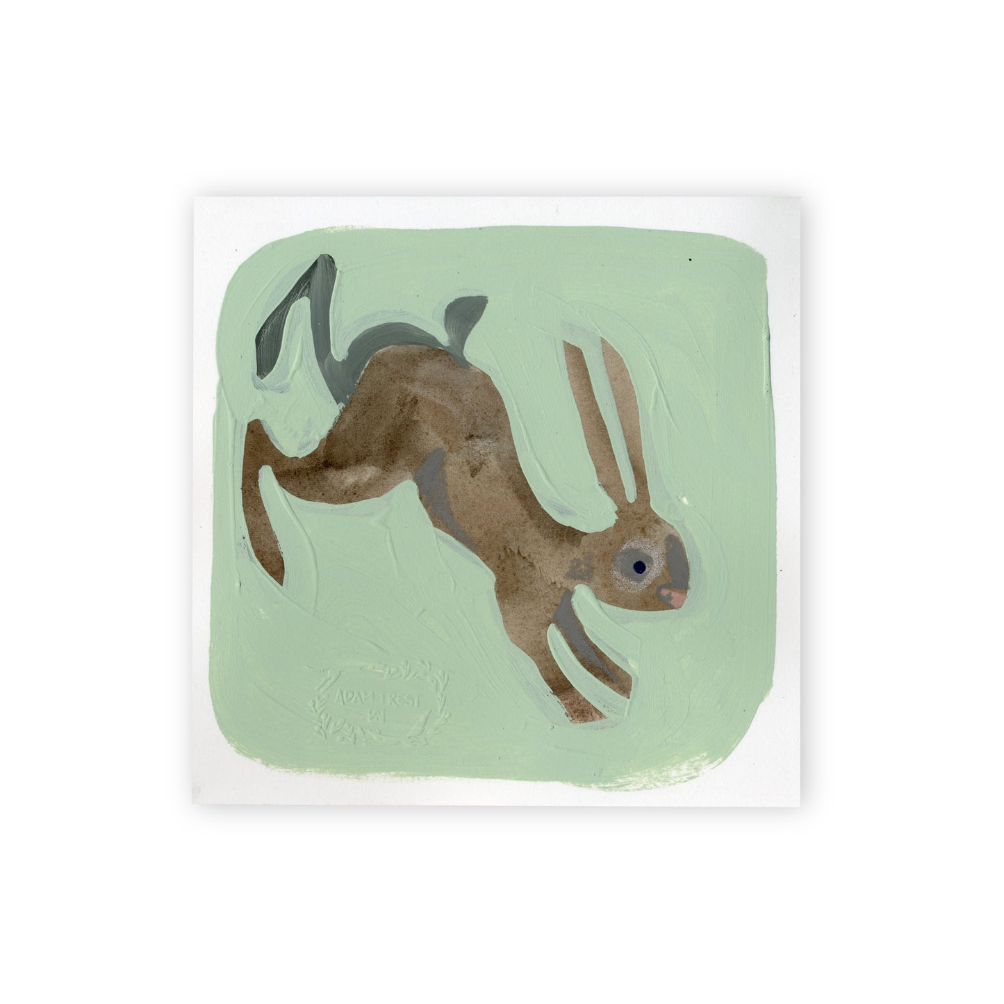 Rabbit II Study 6x6