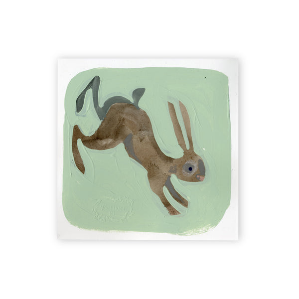Rabbit II Study 6x6