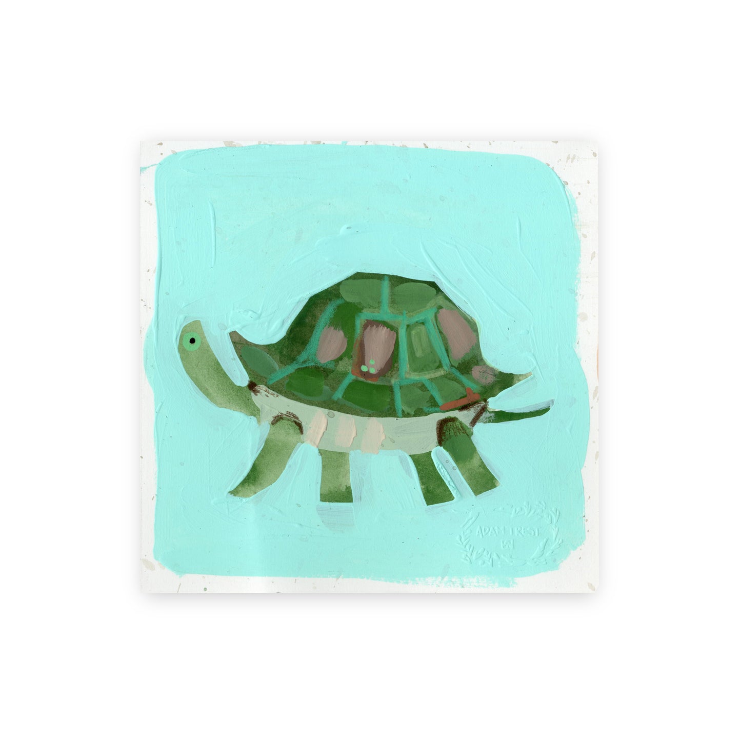 Turtle I Study 6x6