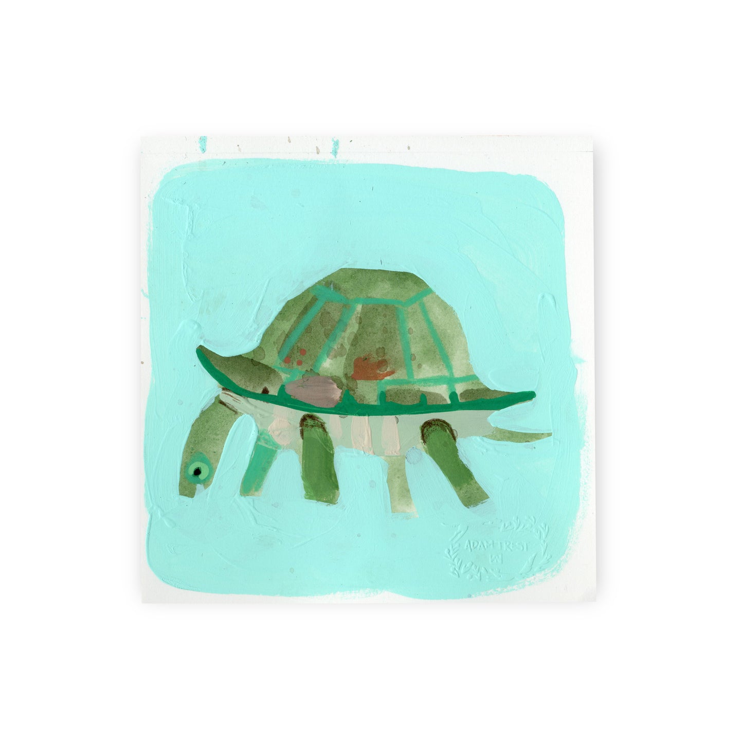 Turtle III Study 6x6