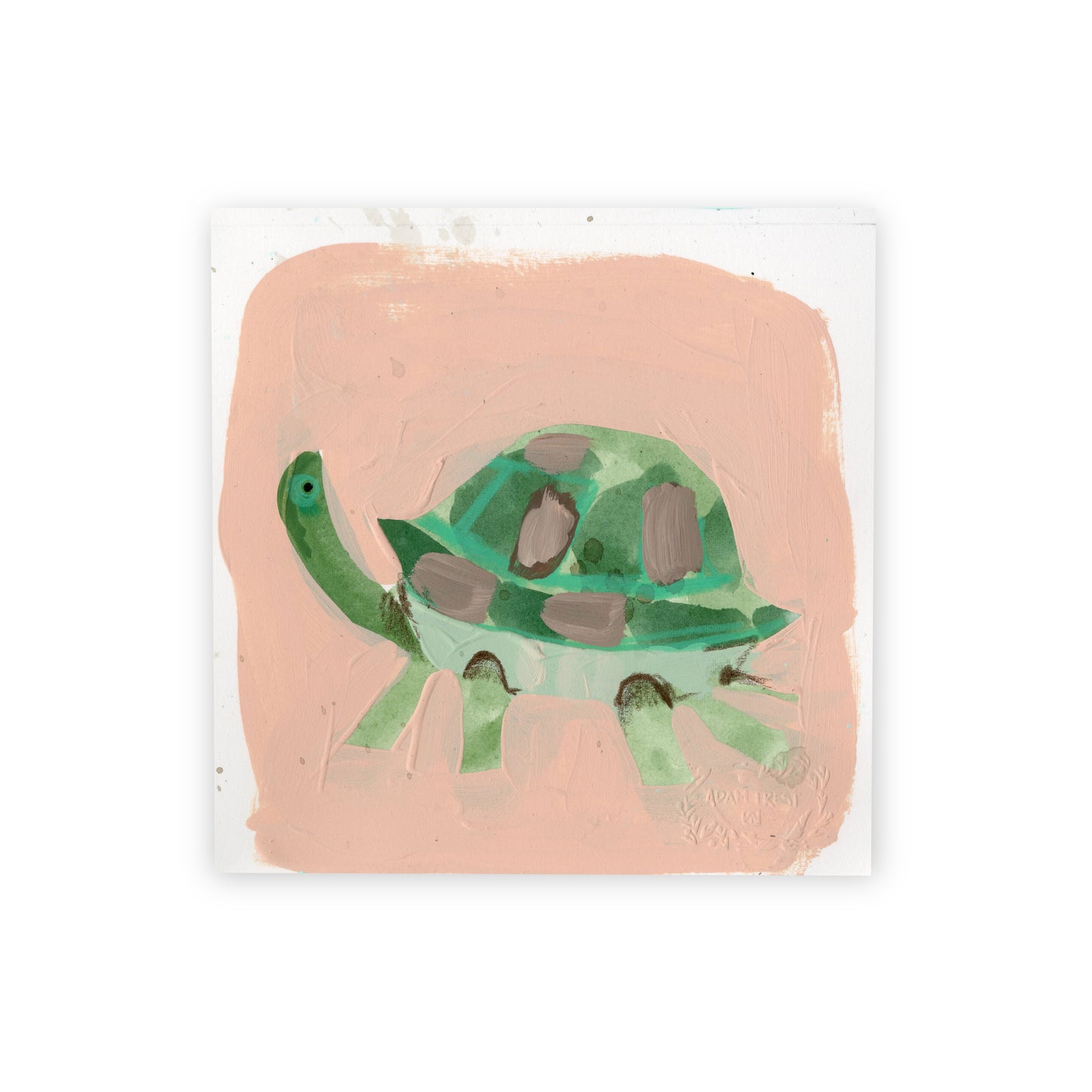 Turtle II Study 6x6