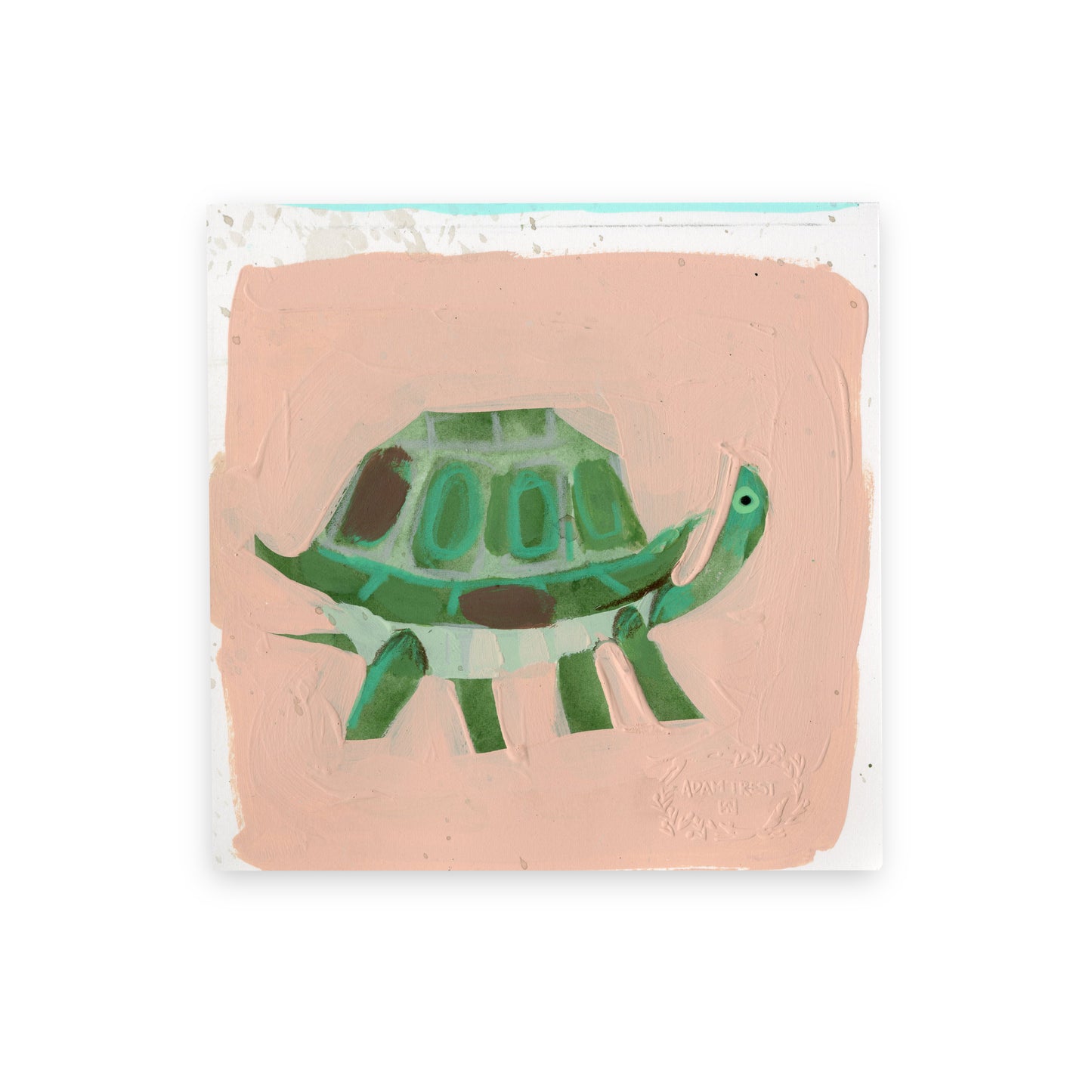 Turtle IV Study 6x6