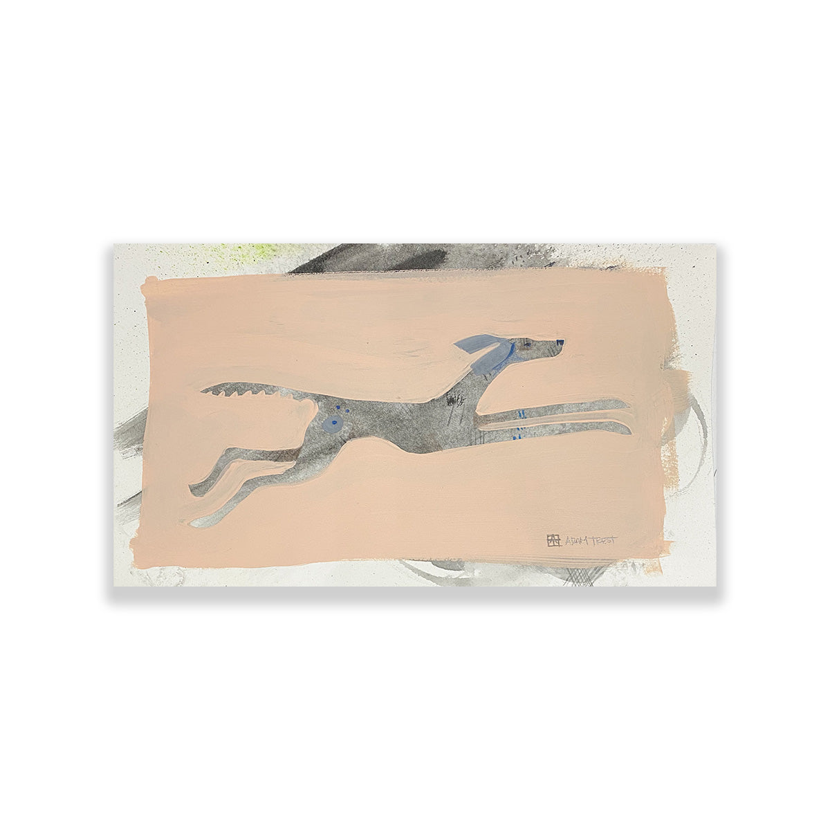 Grey Dog