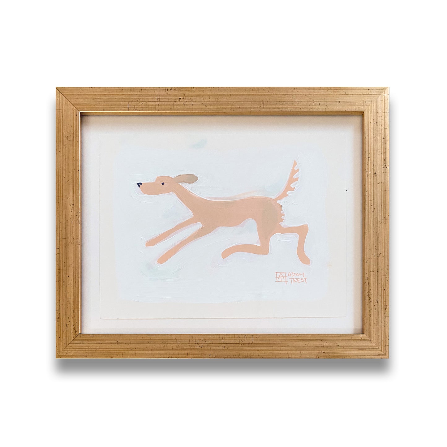 Pink Dog on White