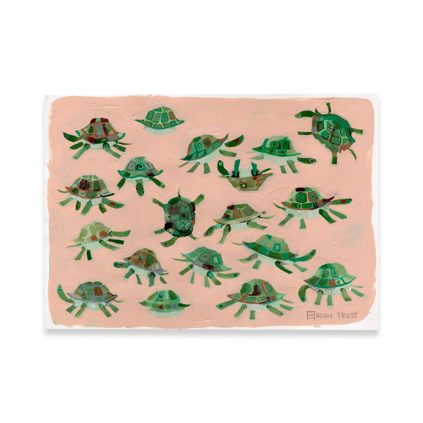 Turtle Study 14x20