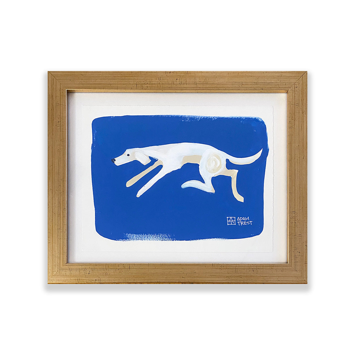 White Dog on Blue