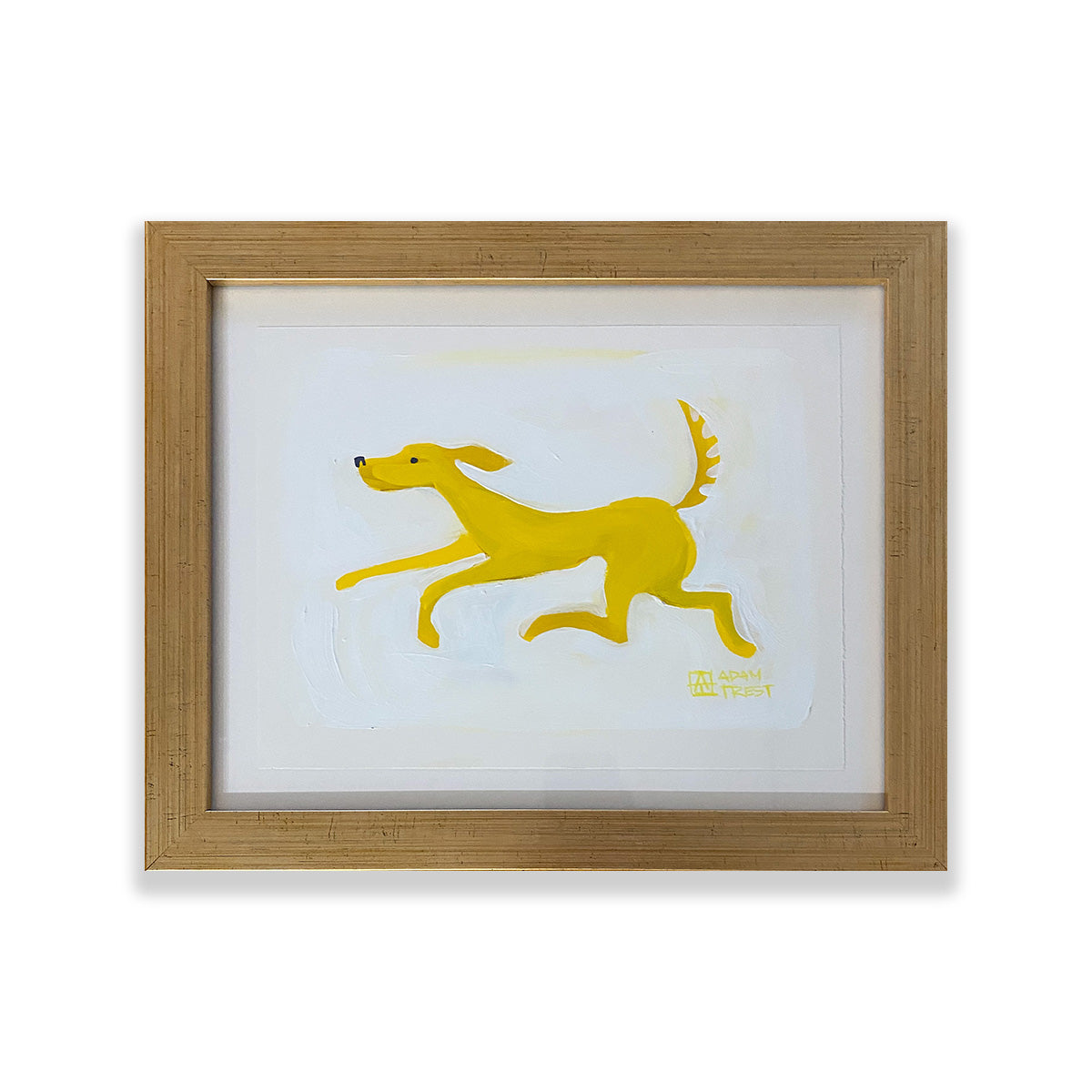 Yellow Dog on White