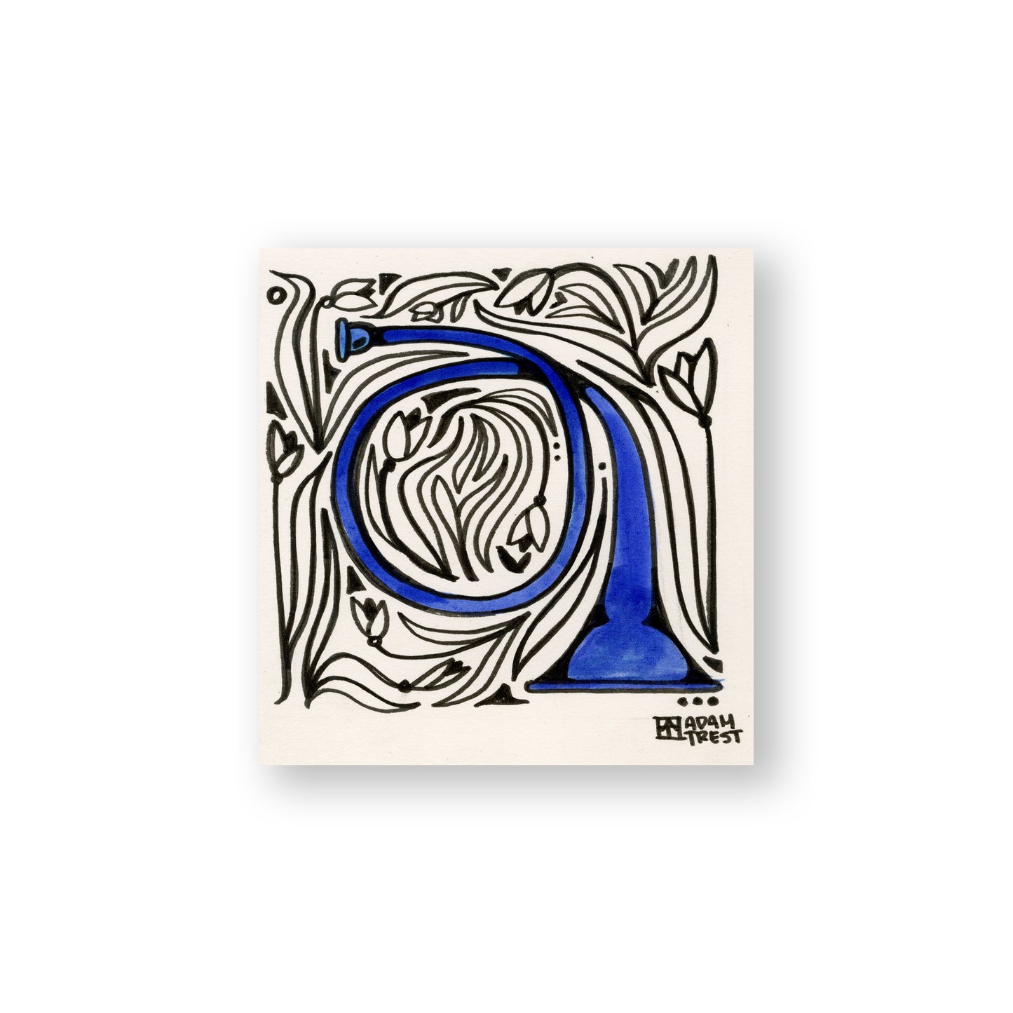 Melody | French Horn Study