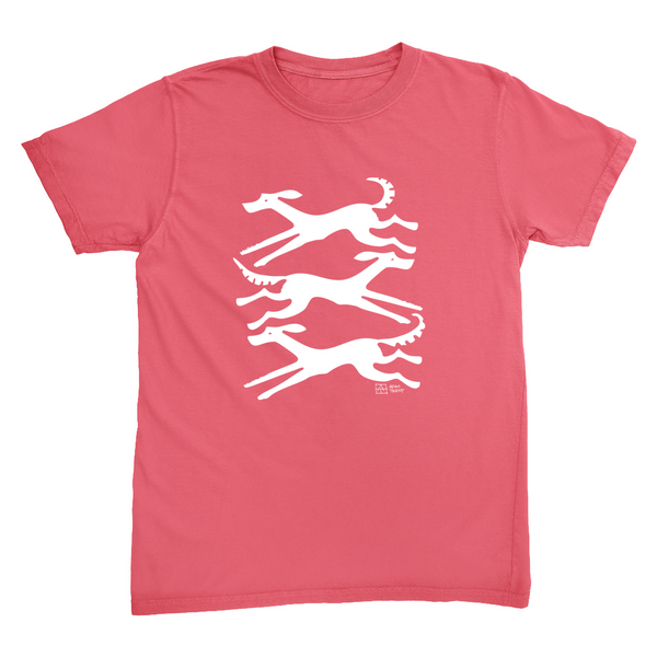 Apparel-DTG-Tshirt-CC-1717-2XL-Watermelon-Unisex-CF-20250730111739747