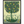 Citrus Grove