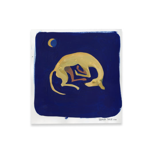 Sleeping Dog Lie 10x10