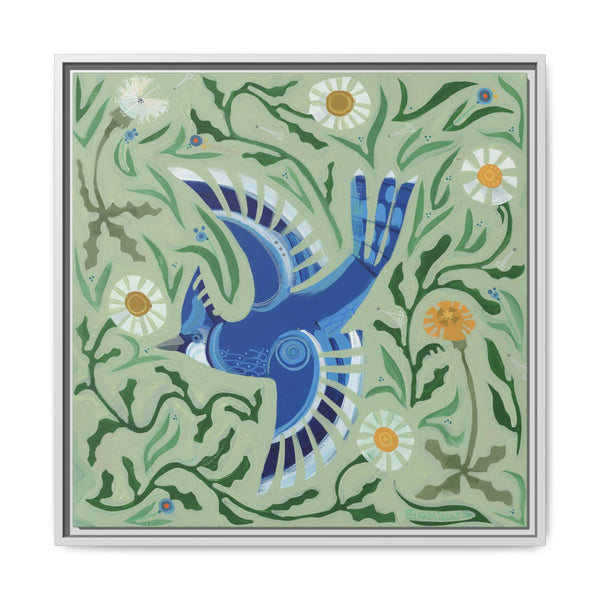 Blue Jay Bomber (Framed)