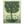Citrus Grove