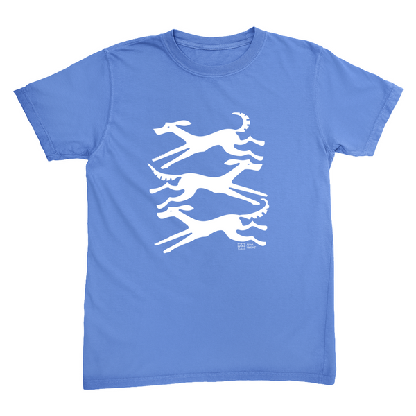 Apparel-DTG-Tshirt-CC-1717-L-FloBlue-Unisex-CF-20250905093155959