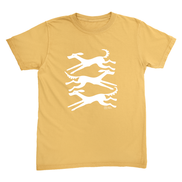Apparel-DTG-Tshirt-CC-1717-L-Mustard-Unisex-CF-20231025191432640