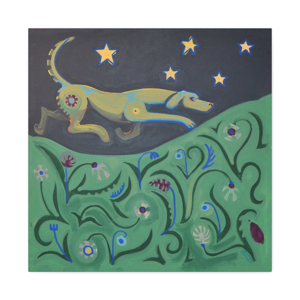 Shelter | Sirius Seek