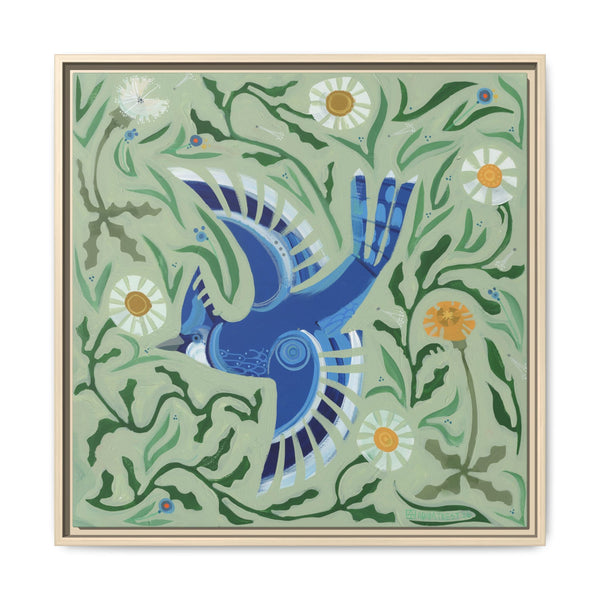 Blue Jay Bomber (Framed)