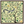 Ginkgo Squirrel