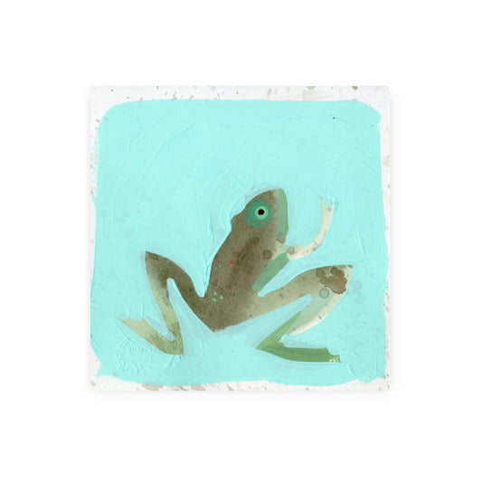 Frog III Study 6x6