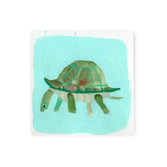 Turtle III Study 6x6