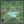 generated-preview-2