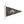 Thompson Dry Goods x Adam Trest Armadillo Pennant