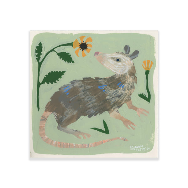 Garden Possum - 10x10