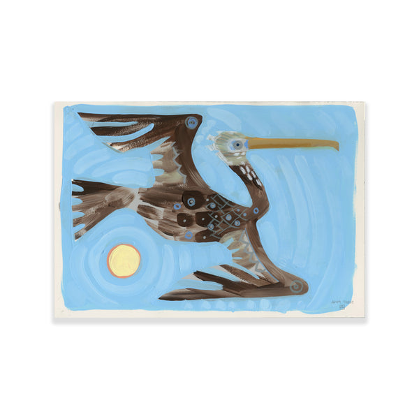 Pelican Study VII - 10x14