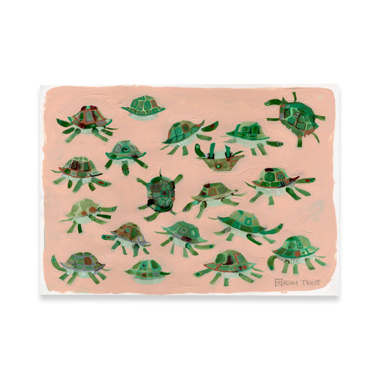 Turtle Study 14x20