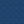 Tulips | Navy