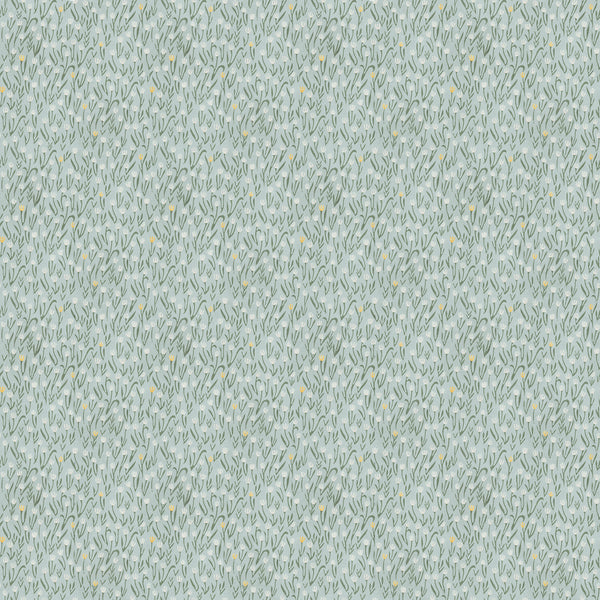 Tulips | Sky Blue