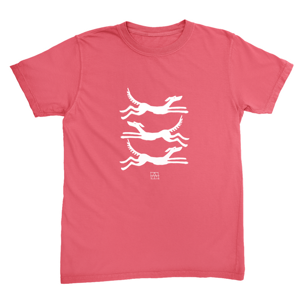 Apparel-DTG-Tshirt-CC-1717-XL-Watermelon-Unisex-CF-20250730111739747