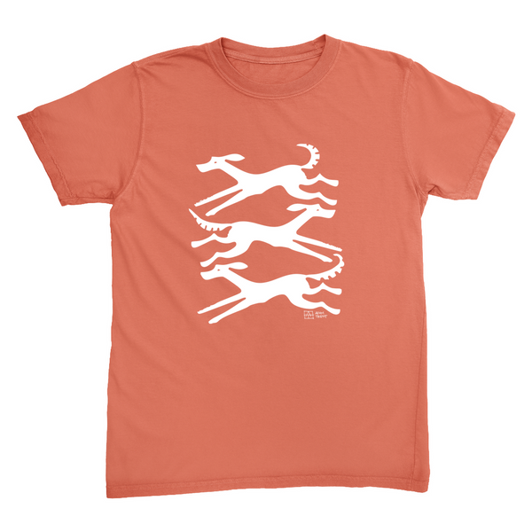 Apparel-DTG-Tshirt-CC-1717-2XL-Terracotta-Unisex-CF-20231025051355328