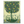 Citrus Grove